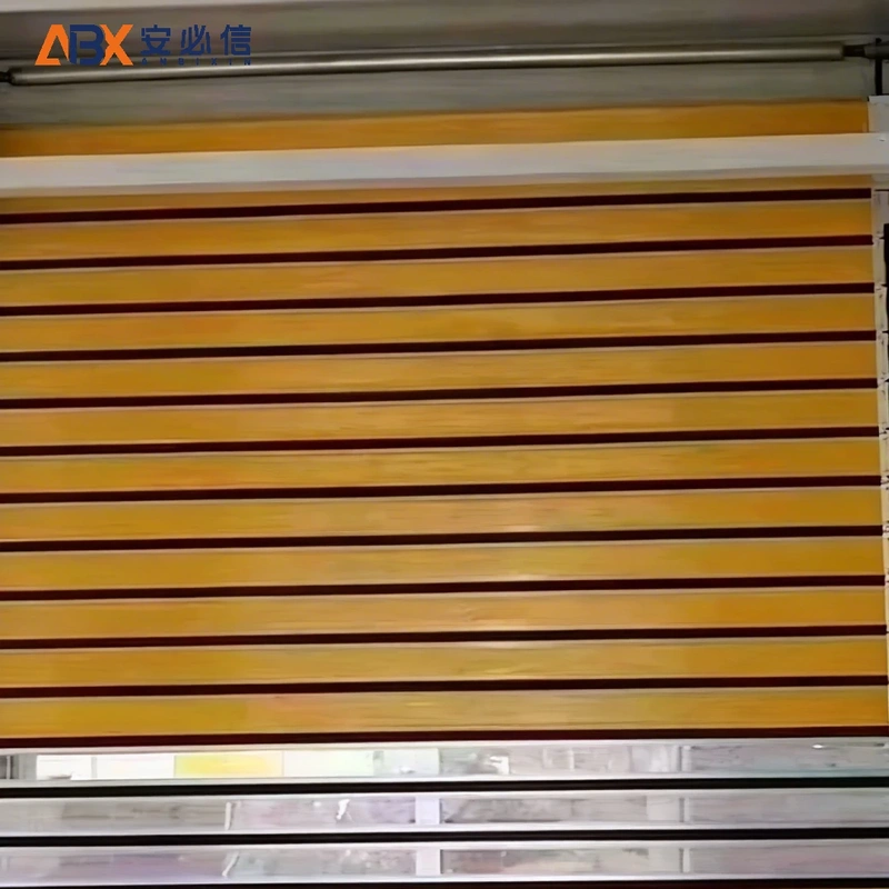 邵阳市感应高速门